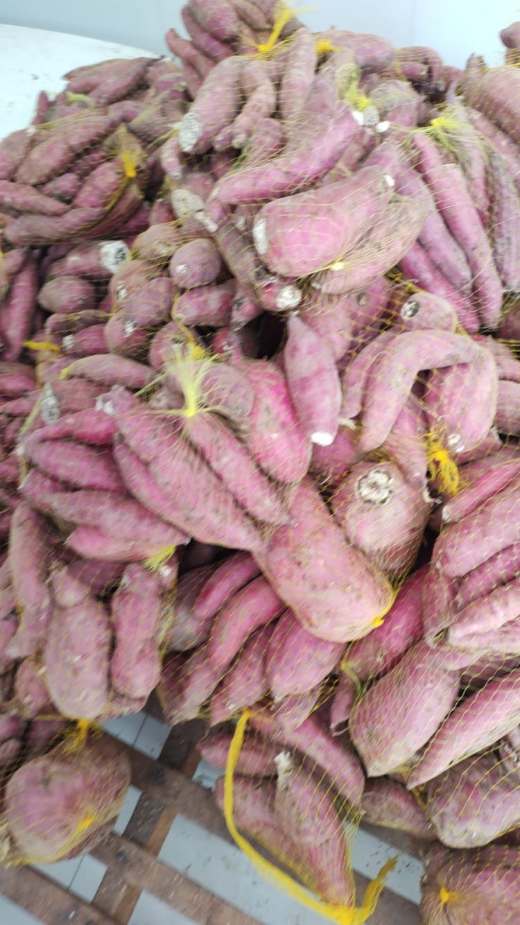 Escolas da Rede Municipal de Floriano são reabastecidas com produtos da Agricultura Familiar