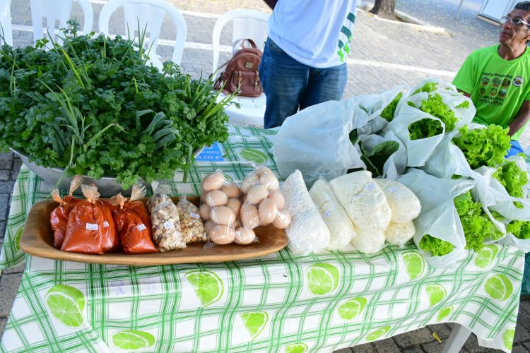 Feira da Agricultura Familiar marca comemorações dos 128 anos de Floriano