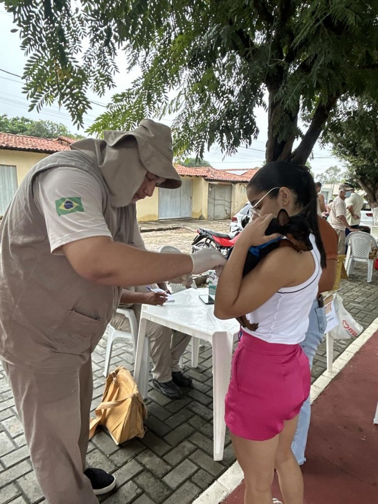 Prefeitura de Floriano realiza edição do ‘Meu Amigo Pet’ no bairro Nossa Senhora da Guia