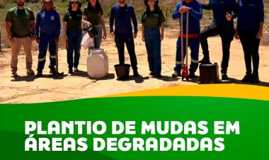 Floriano avança na recuperação ambiental com uso de tecnologia de retenção hídrica