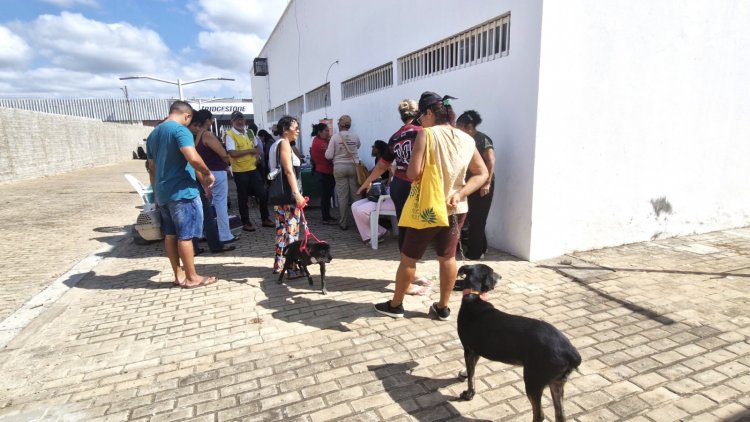 Floriano recebe Busão da Castração e oferta 500 procedimentos gratuitos para cães e gatos
