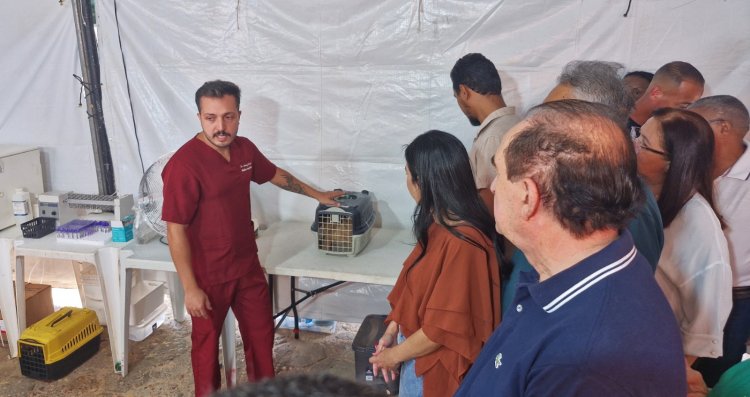 Floriano recebe Busão da Castração e oferta 500 procedimentos gratuitos para cães e gatos