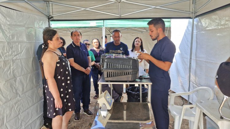 Floriano recebe Busão da Castração e oferta 500 procedimentos gratuitos para cães e gatos