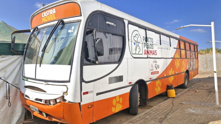 Floriano recebe Busão da Castração e oferta 500 procedimentos gratuitos para cães e gatos