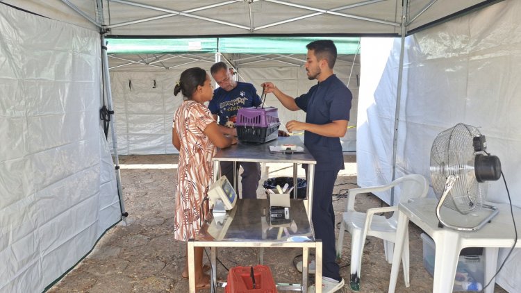 Floriano recebe Busão da Castração e oferta 500 procedimentos gratuitos para cães e gatos
