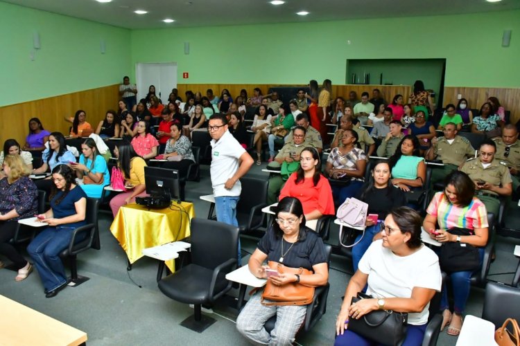 Saúde de Floriano participa de oficina sobre monitoramento à vítimas de violência sexual