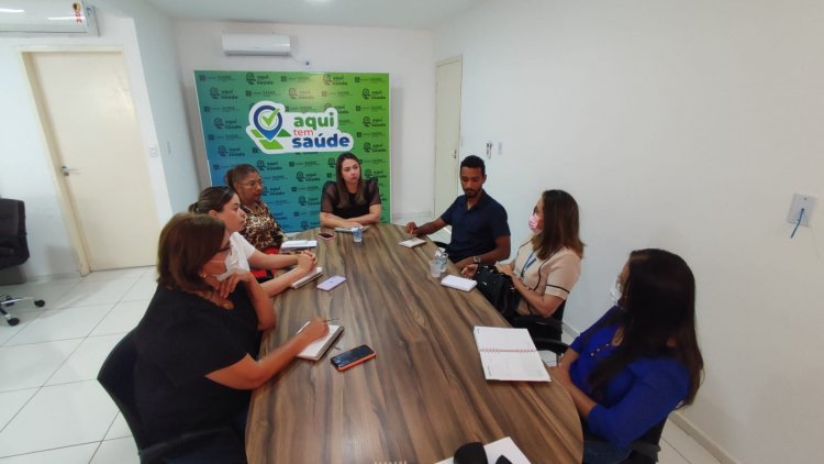 Saúde e UFPI discutem criação de Comitê de Prevenção e Enfrentamento à Violência Contra a Mulher em Floriano