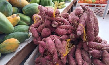 Escolas da Rede Municipal de Floriano são reabastecidas com produtos da alimentação escolar