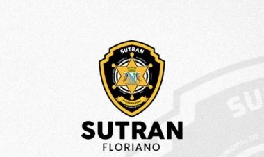 SUTRAN de Floriano apresenta balanço de atividades: credenciamento, alvarás e autuações em números