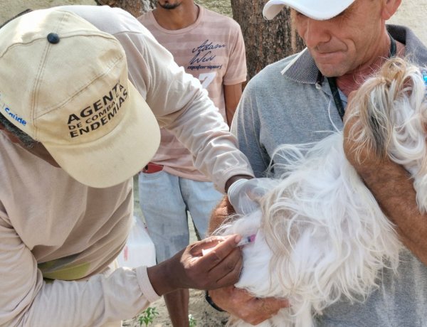 Prefeitura de Floriano mobiliza população no dia D de Vacinação Antirrábica 2025