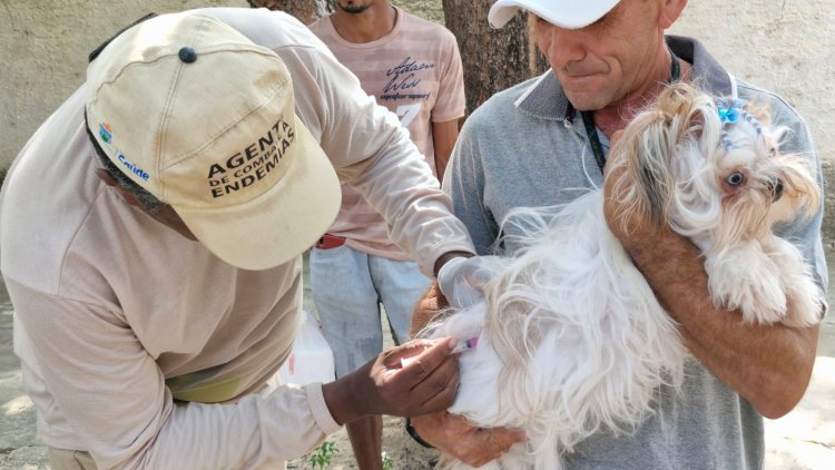 Prefeitura de Floriano mobiliza população no dia D de Vacinação Antirrábica 2025