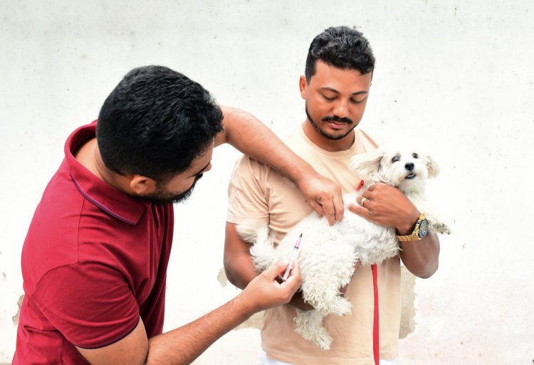 Prefeitura de Floriano mobiliza população no dia D de Vacinação Antirrábica 2025