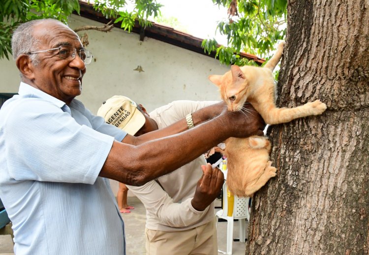 Prefeitura de Floriano mobiliza população no dia D de Vacinação Antirrábica 2025