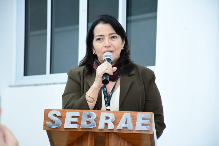 Prefeitura de Floriano e Sebrae lançam Ecossistema Local de Inovação do município