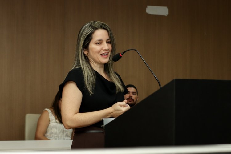 Servidores municipais participam do lançamento de fluxo para atendimento à entrega voluntária para adoção