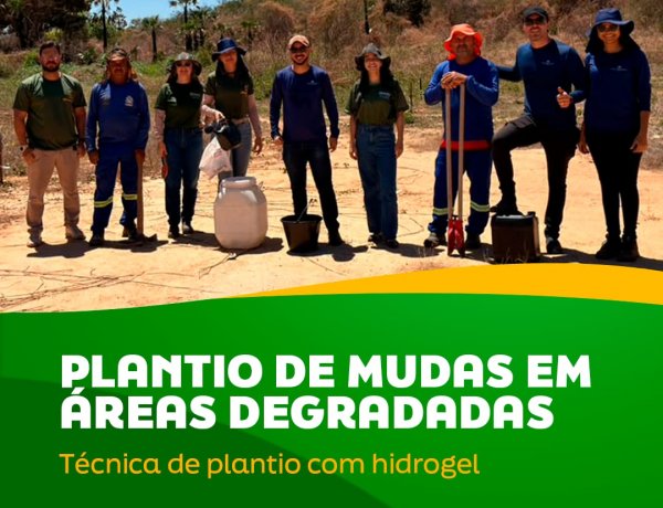Floriano avança na recuperação ambiental com uso de tecnologia de retenção hídrica