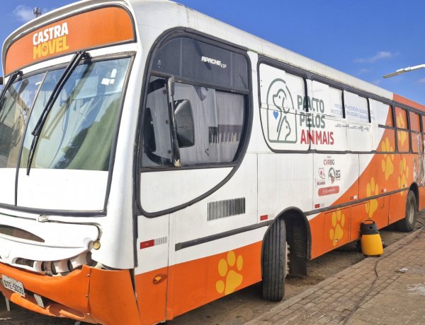Floriano recebe Busão da Castração e oferta 500 procedimentos gratuitos para cães e gatos